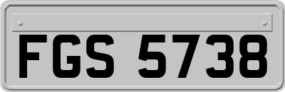 FGS5738