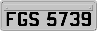 FGS5739