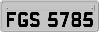 FGS5785