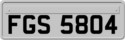 FGS5804