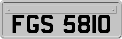 FGS5810