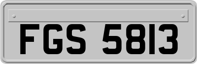 FGS5813