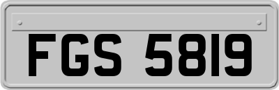 FGS5819