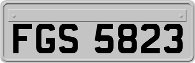 FGS5823