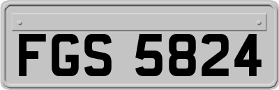 FGS5824