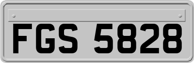 FGS5828