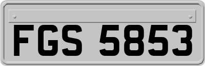 FGS5853
