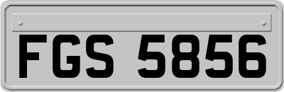 FGS5856