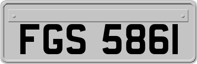FGS5861