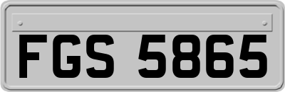 FGS5865