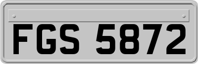 FGS5872