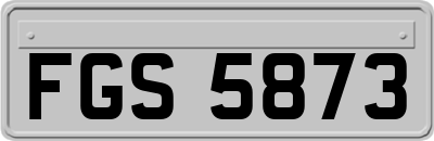 FGS5873