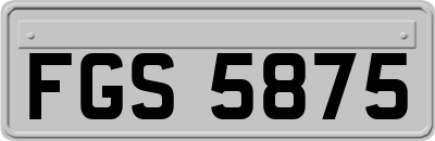 FGS5875