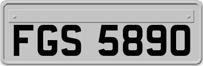 FGS5890