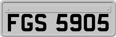 FGS5905