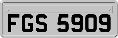 FGS5909