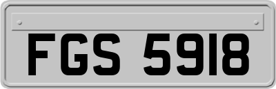 FGS5918