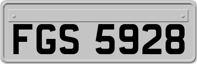 FGS5928