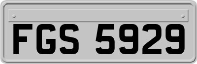 FGS5929