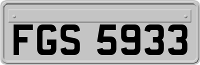 FGS5933