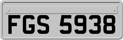 FGS5938