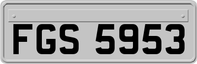 FGS5953