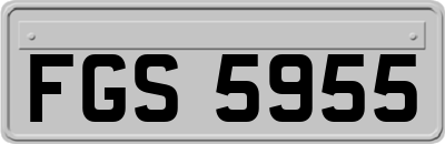 FGS5955