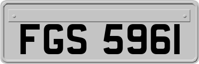 FGS5961