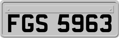 FGS5963
