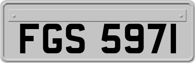 FGS5971