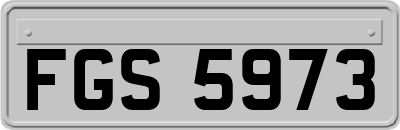 FGS5973