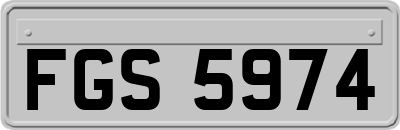 FGS5974