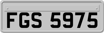 FGS5975