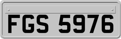FGS5976