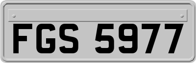 FGS5977
