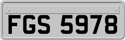 FGS5978