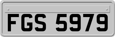 FGS5979