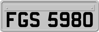 FGS5980