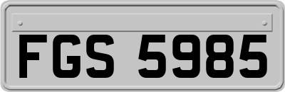 FGS5985