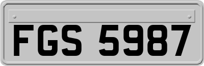 FGS5987