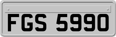 FGS5990