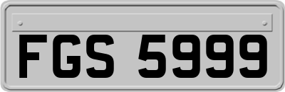 FGS5999