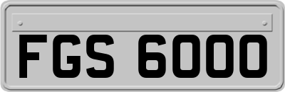 FGS6000