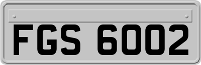 FGS6002