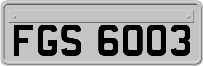 FGS6003
