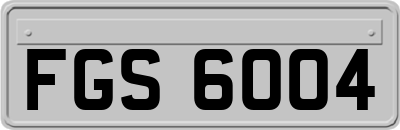 FGS6004