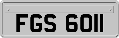 FGS6011