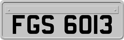 FGS6013