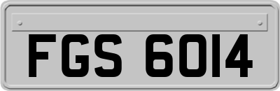 FGS6014