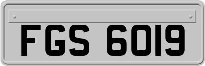 FGS6019